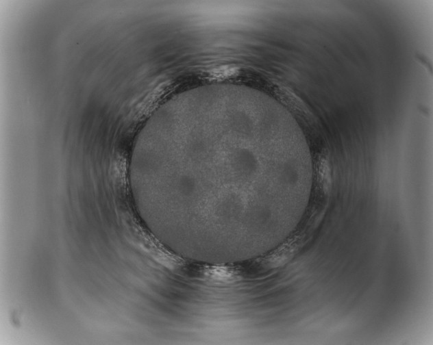 X0000101950565200808011048