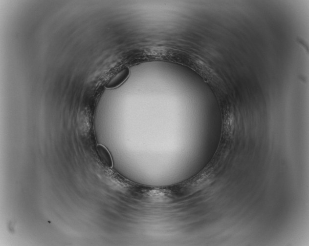 X0000101950566200808011048