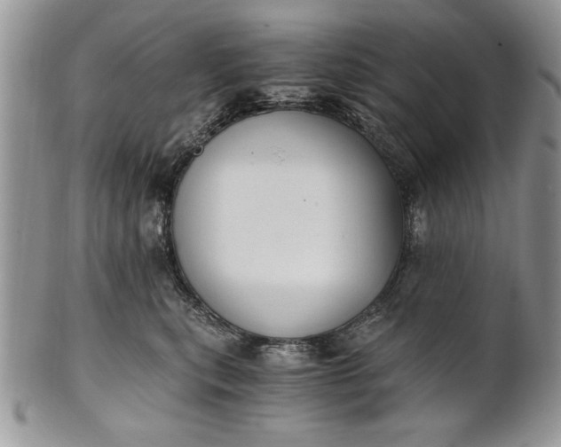 X0000101950567200808011048