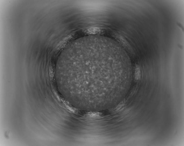 X0000101950569200808011048