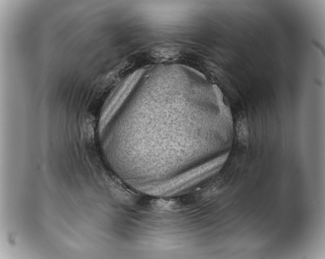 X0000101950570200808011048