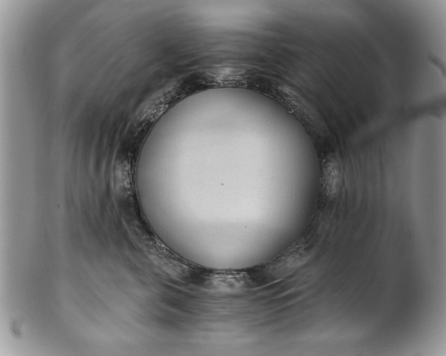 X0000101950571200808011048