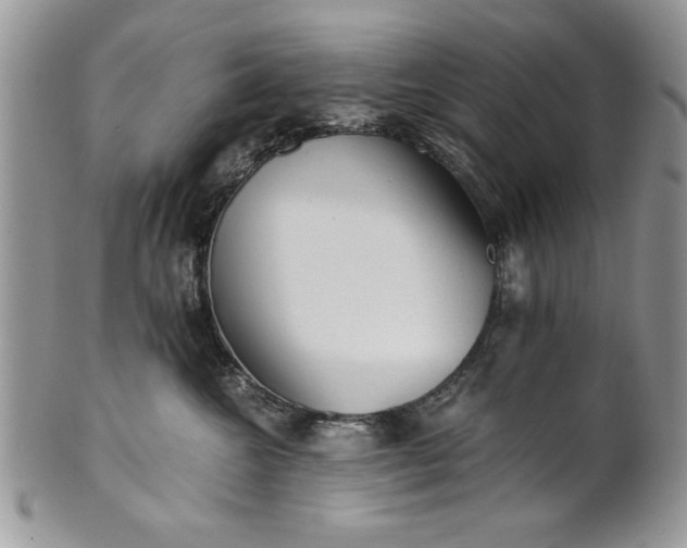 X0000101950572200808011048