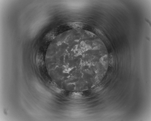 X0000101950573200808011048