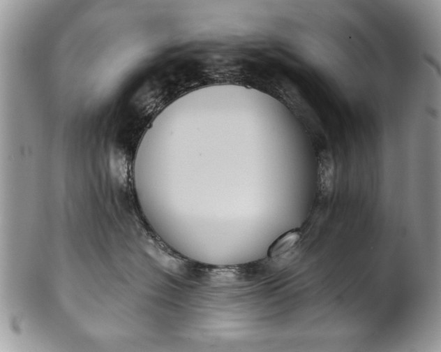 X0000101950574200808011048