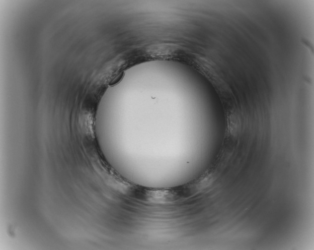 X0000101950575200808011048