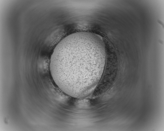 X0000101950576200808011048