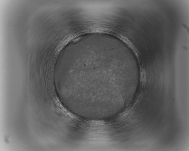 X0000101950577200808011047