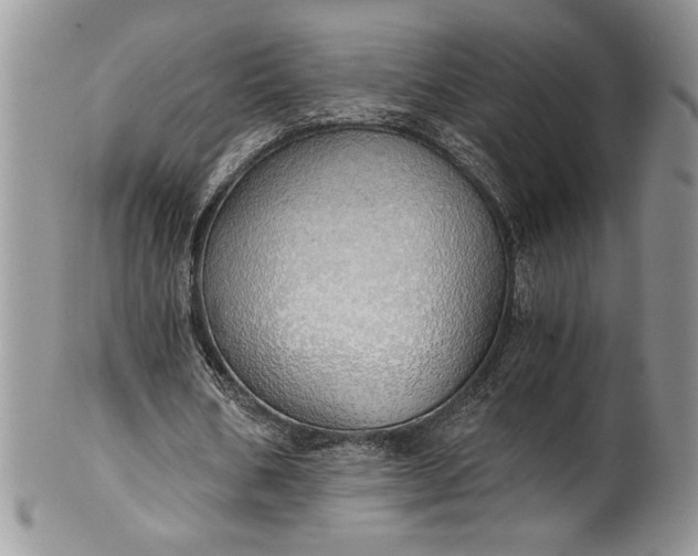 X0000101950578200808011047