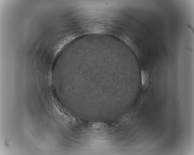 X0000101950579200808011047