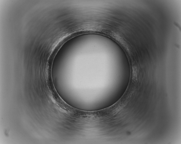 X0000101950580200808011047