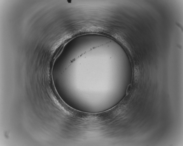 X0000101950581200808011047