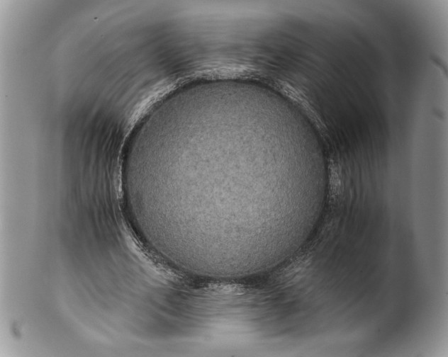 X0000101950582200808011047