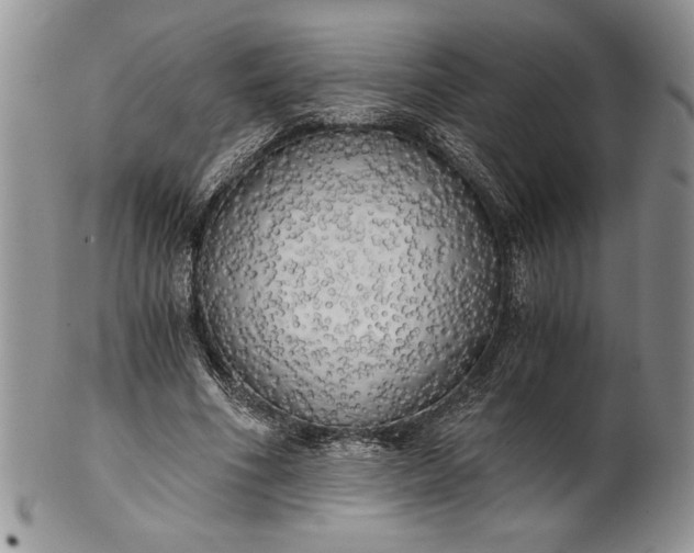 X0000101950586200808011047