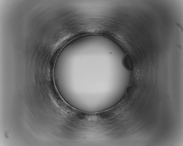 X0000101950587200808011047