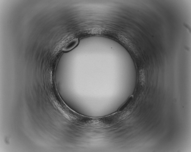 X0000101950589200808011047