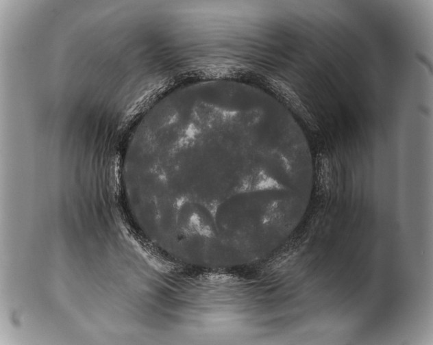 X0000101950590200808011047