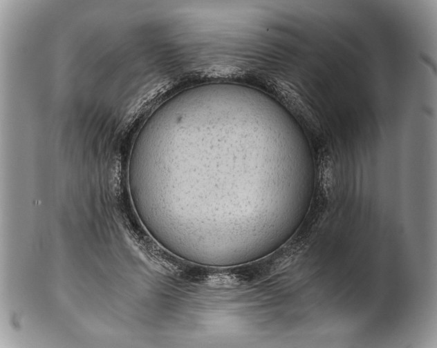 X0000101950591200808011047