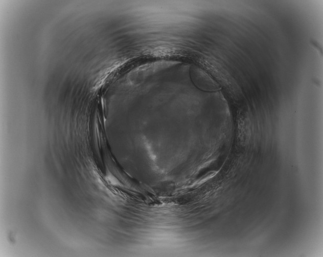 X0000101950592200808011047