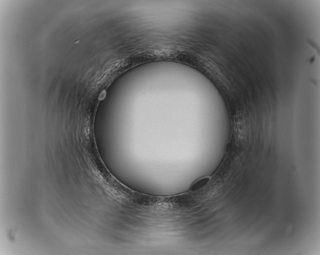 X0000101950593200808011047