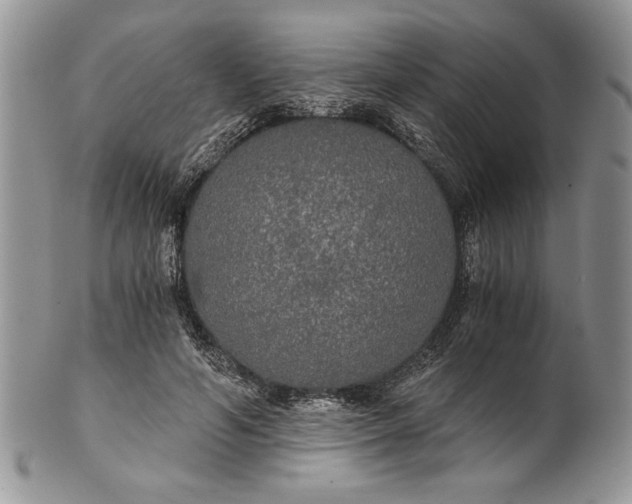 X0000101950594200808011047