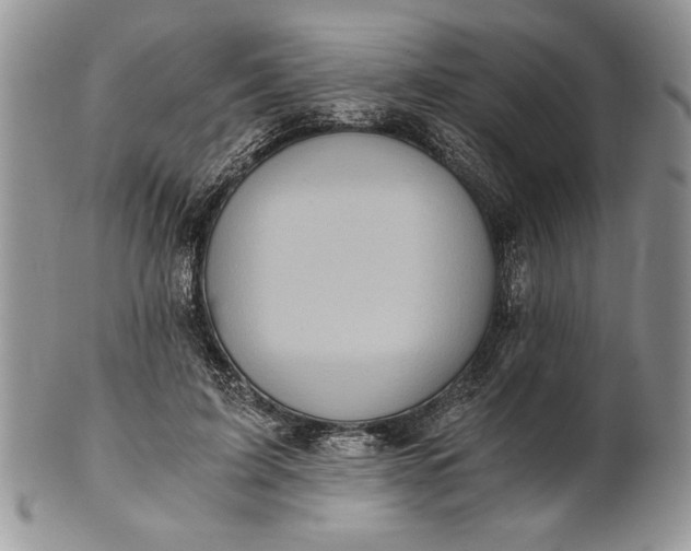 X0000101950595200808011047