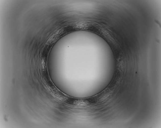 X0000101950597200808011047