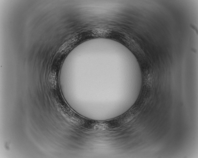 X0000101950599200808011047