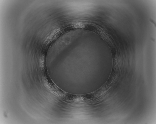 X0000101950600200808011047