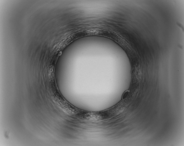 X0000101950601200808011047