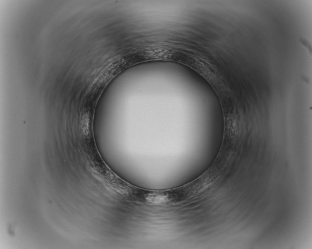 X0000101950602200808011047