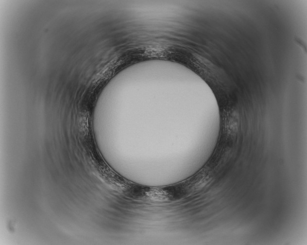 X0000101950603200808011047