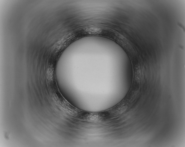 X0000101950604200808011047