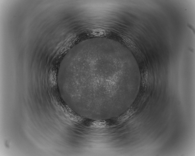 X0000101950606200808011047