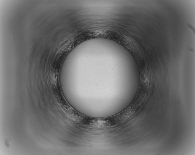 X0000101950607200808011047