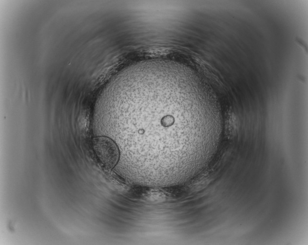 X0000101950608200808011047