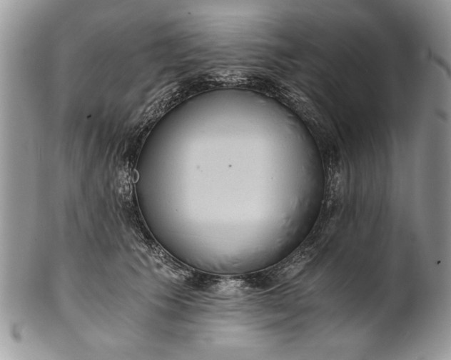 X0000101950609200808011047