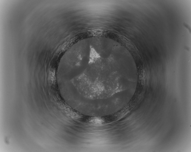 X0000101950610200808011047