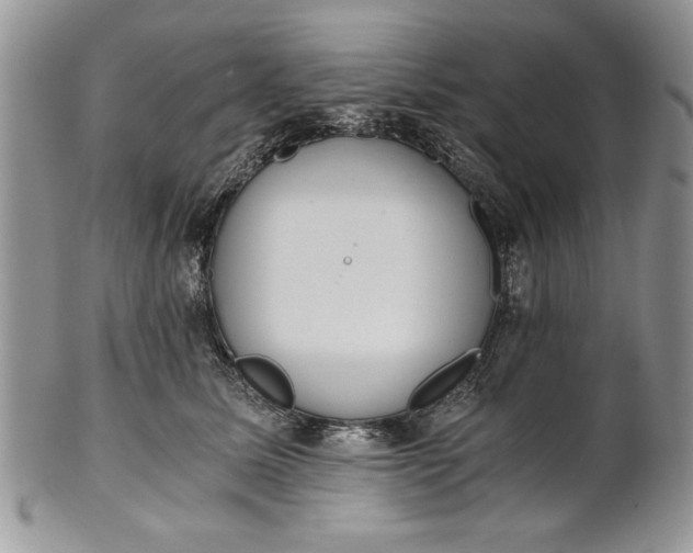 X0000101950611200808011047