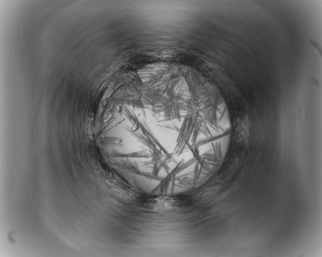 X0000101950612200808011047