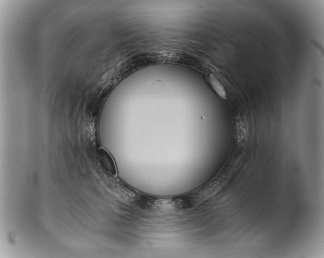 X0000101950613200808011047