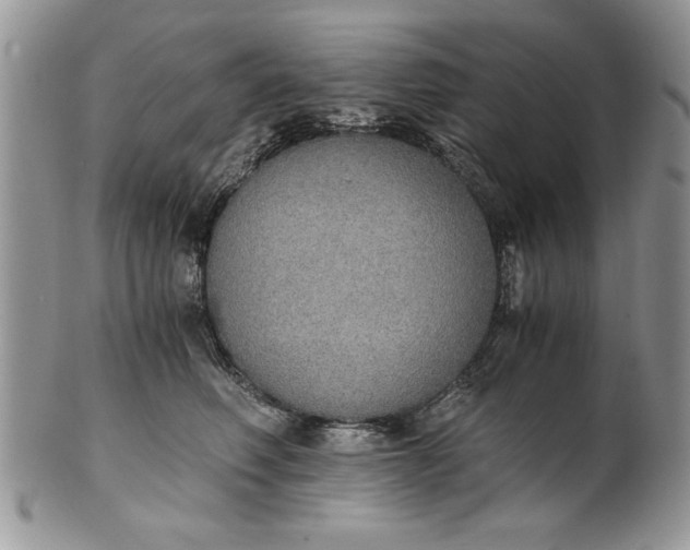 X0000101950614200808011047