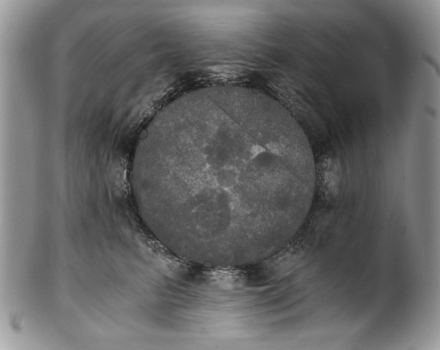 X0000101950615200808011047