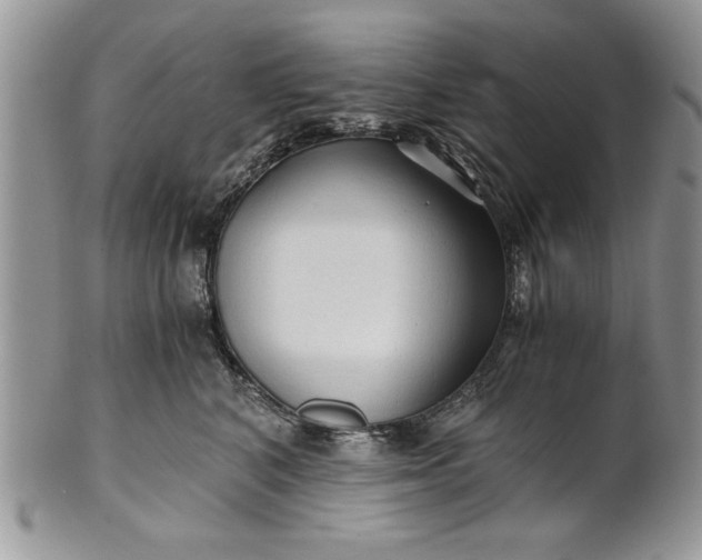 X0000101950616200808011047