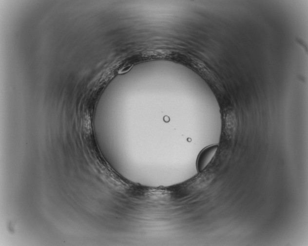 X0000101950617200808011047