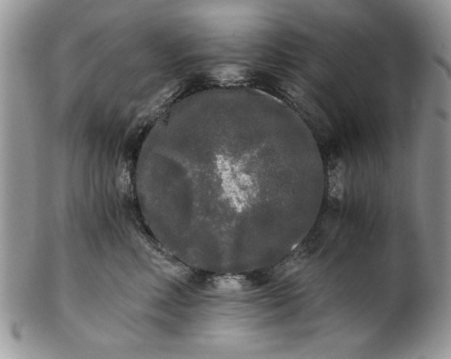 X0000101950618200808011047