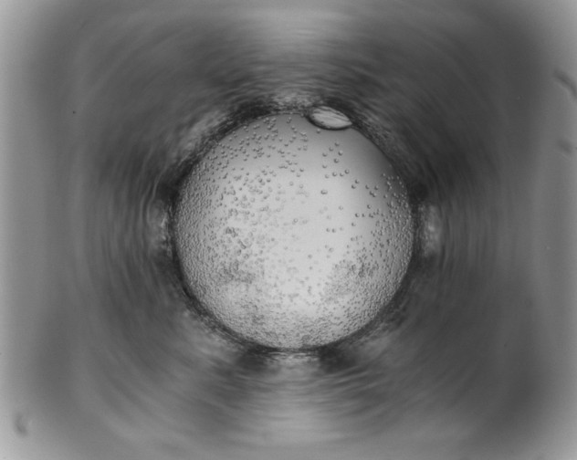 X0000101950619200808011047