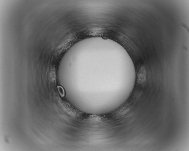 X0000101950620200808011047