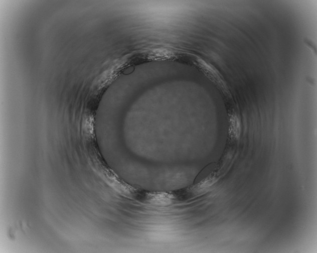 X0000101950621200808011047