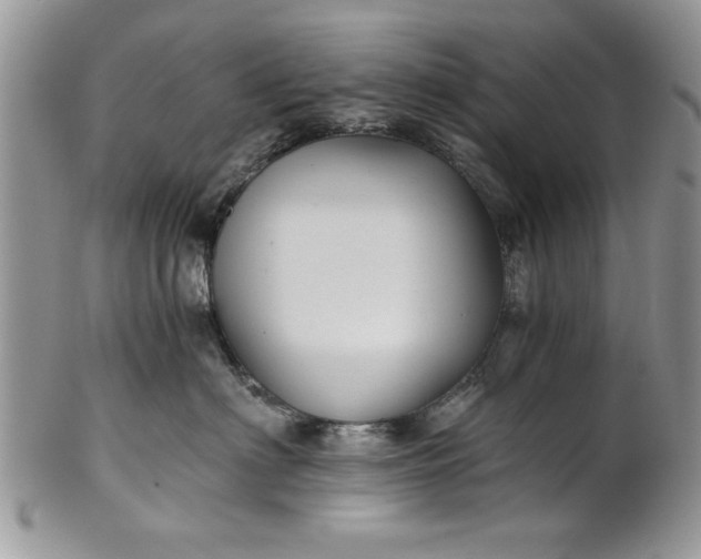 X0000101950622200808011047